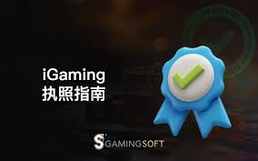 新手进阶：四大注码体系对比与选择指南-高赔率博彩-信誉博彩-博彩论坛