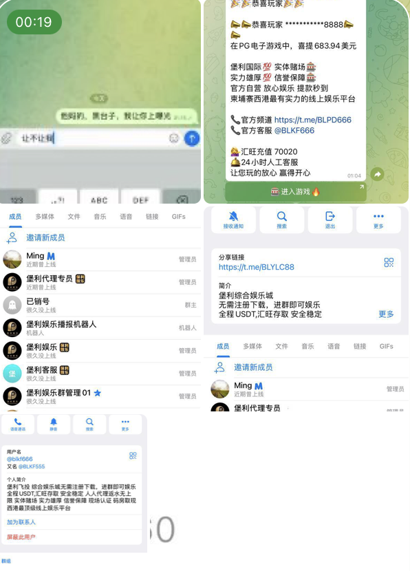 7ae97f8d4020260517093413